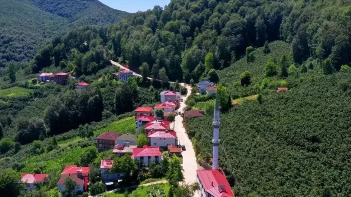 Ordu’da Kırsal Ulaşım İçin Büyük Yatırım: Beton Yol Çalışmasında 2 Kilometre Tamamlandı
